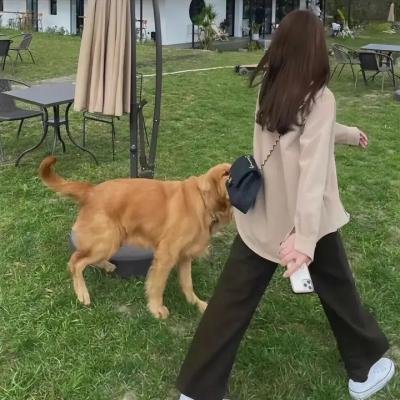 小丑下地狱2